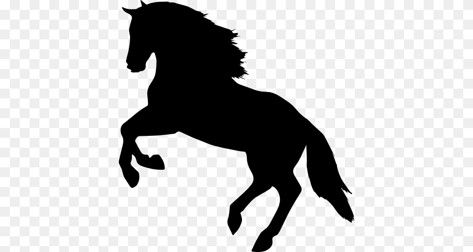 Horse Jumping Silhouette, Animal, Mammal, Colt Horse Png