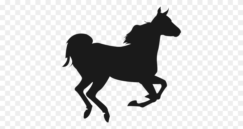 Horse Jumping Silhouette Download Clip Art, Animal, Mammal, Colt Horse Free Transparent Png
