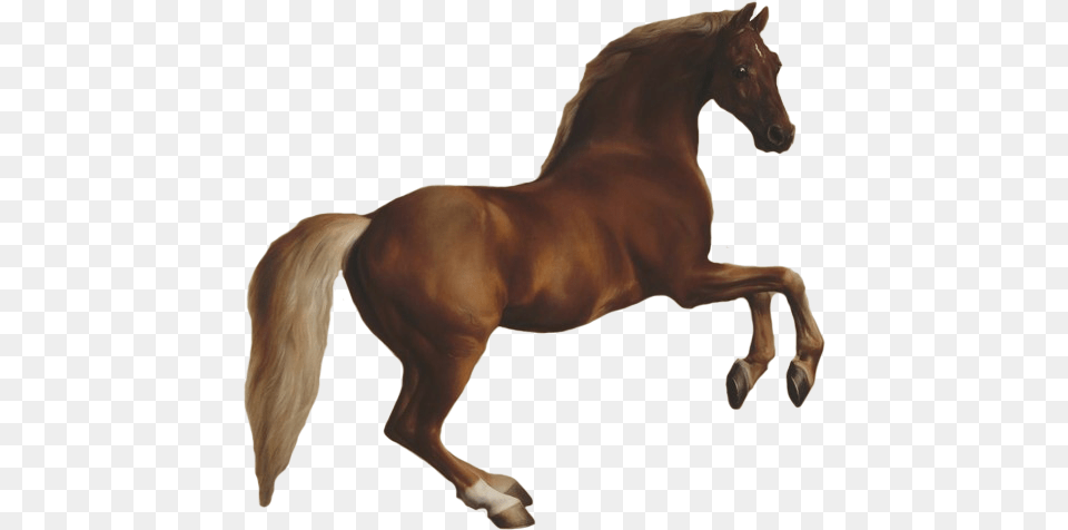 Horse Jumping The National Gallery Shop, Animal, Colt Horse, Mammal, Stallion Free Png