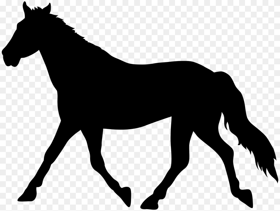 Horse Kneeling Clipart, Animal, Colt Horse, Mammal, Silhouette Free Transparent Png