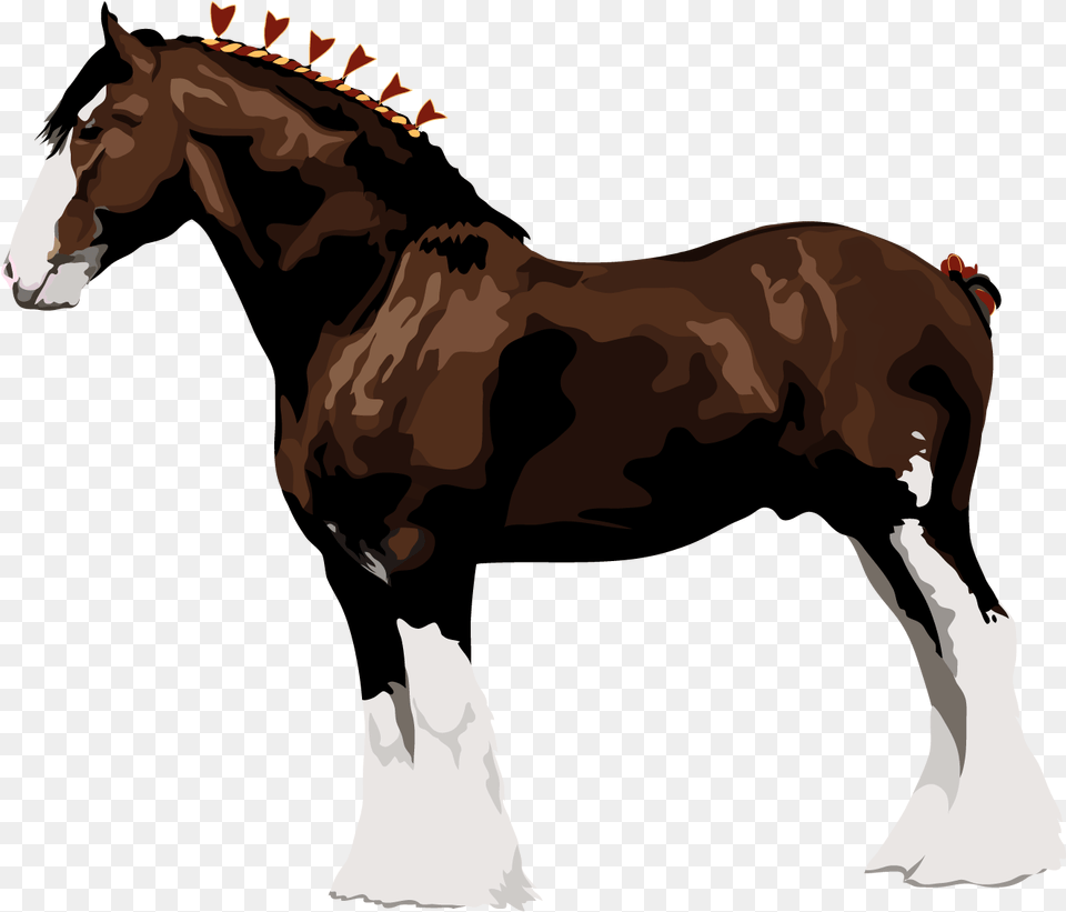 Horse Leg De Cavalo Clydesdale, Animal, Colt Horse, Mammal, Wedding Png