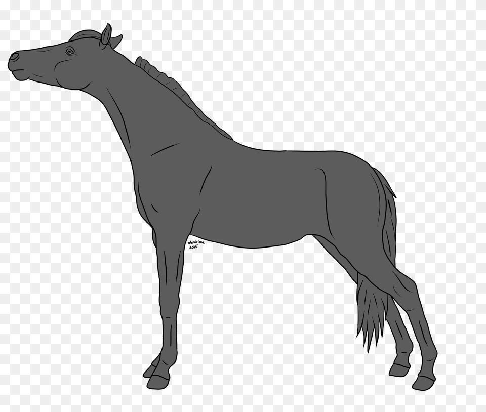 Horse Lineart Horses With Tack And Riders On Equinelineart, Andalusian Horse, Animal, Mammal, Art Free Png