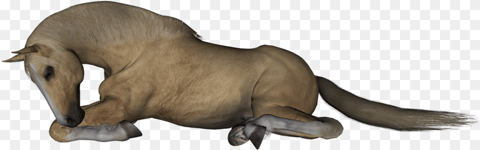 Horse Lying Down Clipart, Animal, Mammal Png