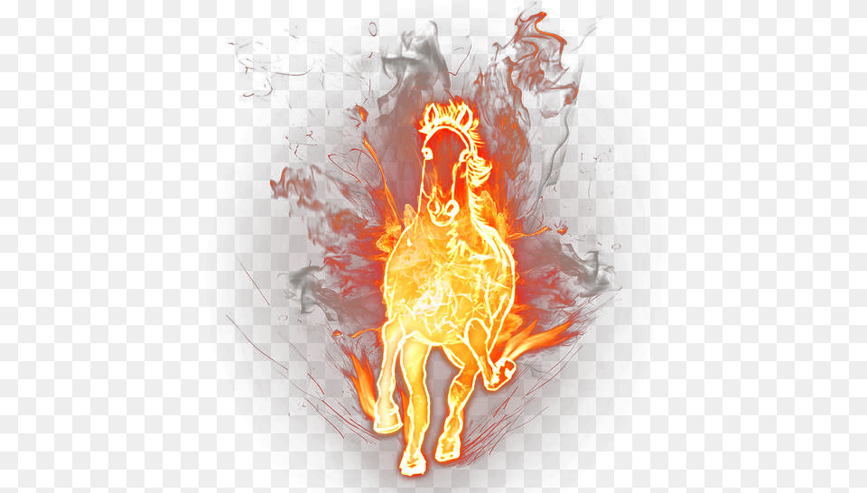 Horse On Fire, Flame, Bonfire, Light Free Transparent Png