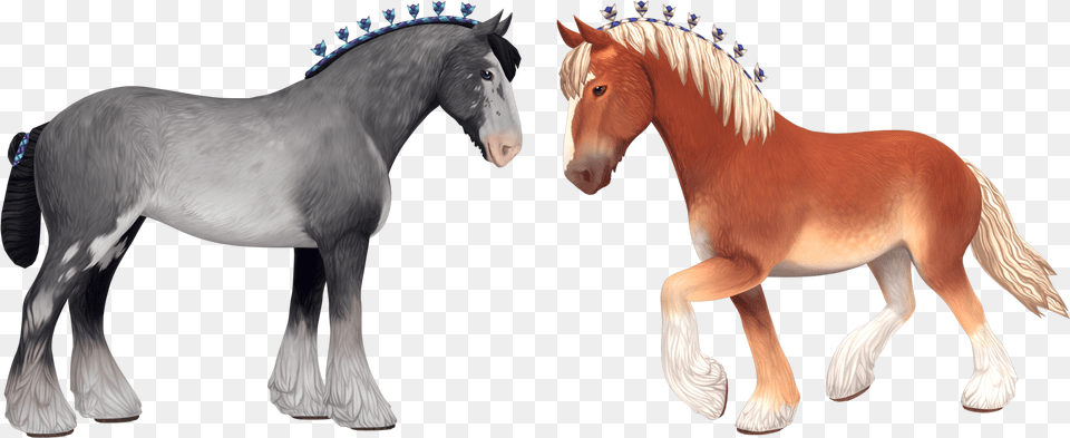 Horse Outline, Animal, Colt Horse, Mammal Free Transparent Png