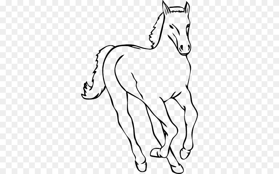 Horse Outline Clip Art, Drawing, Animal, Mammal, Colt Horse Free Transparent Png