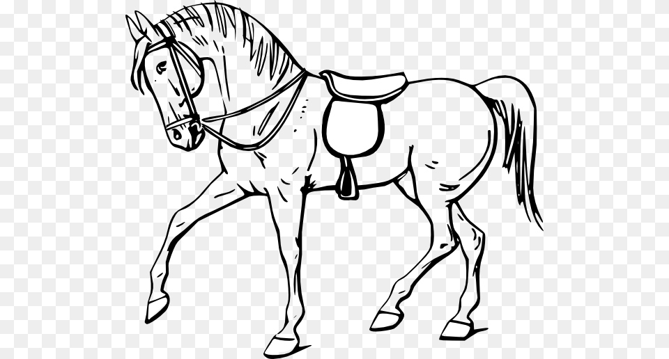 Horse Outline Clipart, Art, Baby, Person, Drawing Free Png