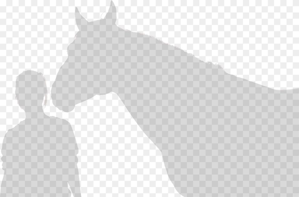 Horse Outline Stallion, Silhouette, Adult, Person, Man Png Image