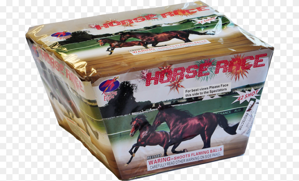 Horse Race Reindeer, Box, Animal, Mammal, Cardboard Free Png Download
