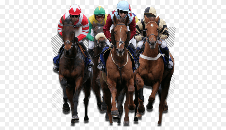 Horse Races, Adult, Man, Male, Person Free Transparent Png