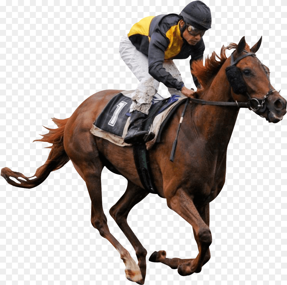 Horse Racing, Adult, Man, Mammal, Male Free Png