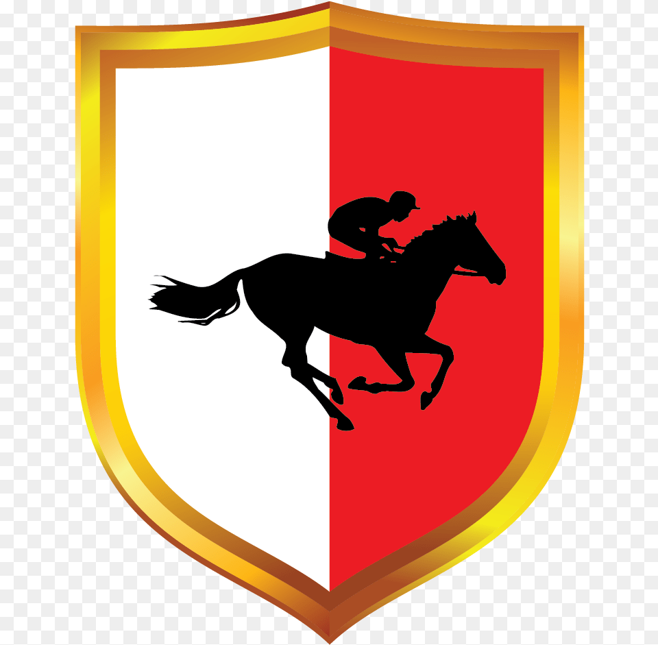 Horse Racing Cake Toppers, Armor, Adult, Male, Man Free Transparent Png
