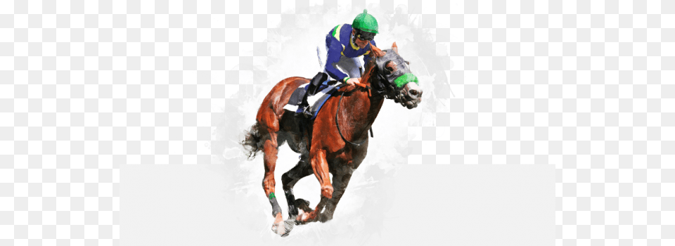 Horse Racing Secrets Sports Betting, Animal, Mammal, Adult, Male Png