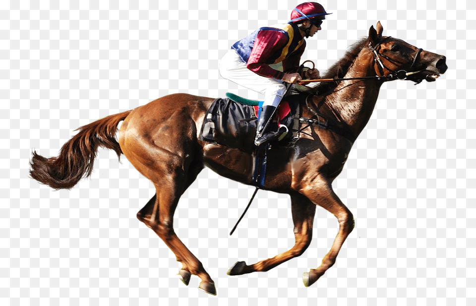 Horse Racing Transparent Background Image Horse Racing, Animal, Equestrian, Person, People Png