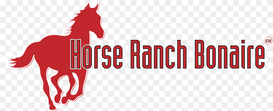 Horse Ranch Bonaire, Animal, Mammal, Logo, Colt Horse Free Png