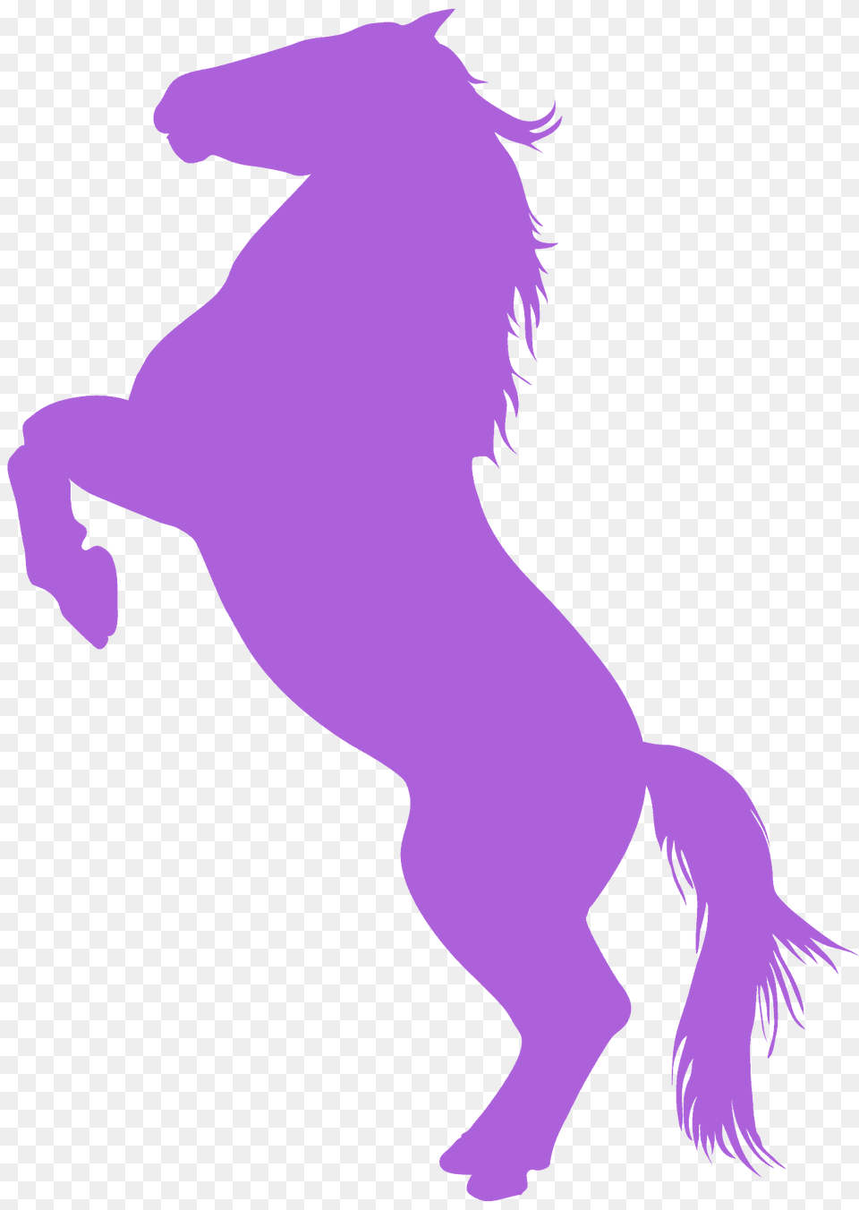 Horse Rearing Silhouette, Animal, Colt Horse, Mammal, Person Free Png