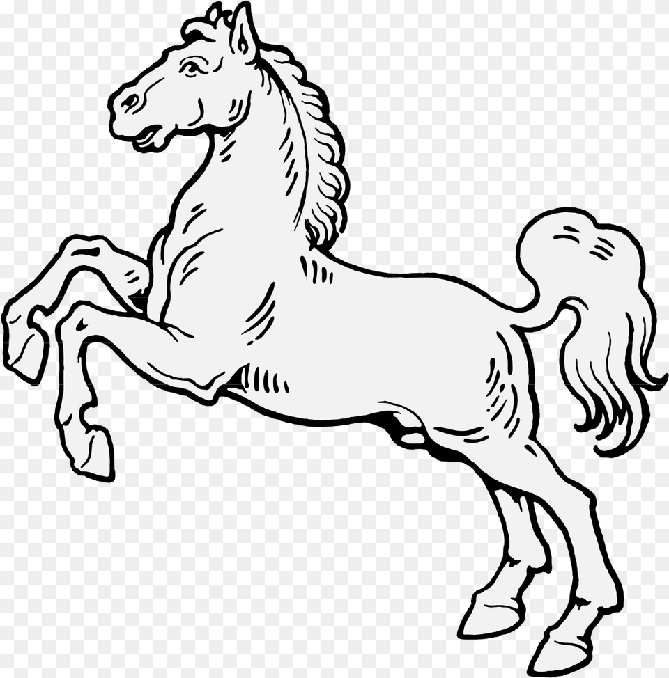 Horse Rearing Up Coloring Page, Stencil, Baby, Person, Animal Free Png