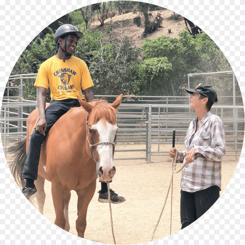 Horse Ride Sorrel, Photography, Adult, Portrait, Person Png Image