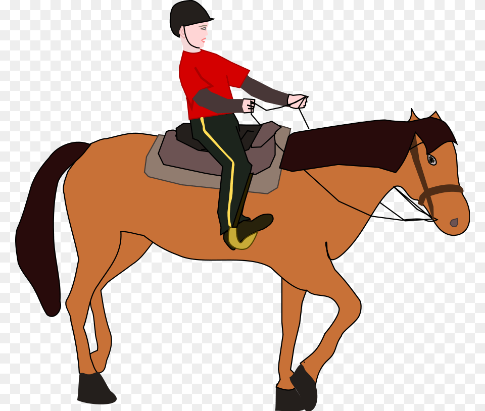 Horse Rider Clipart, Adult, Male, Man, Person Png