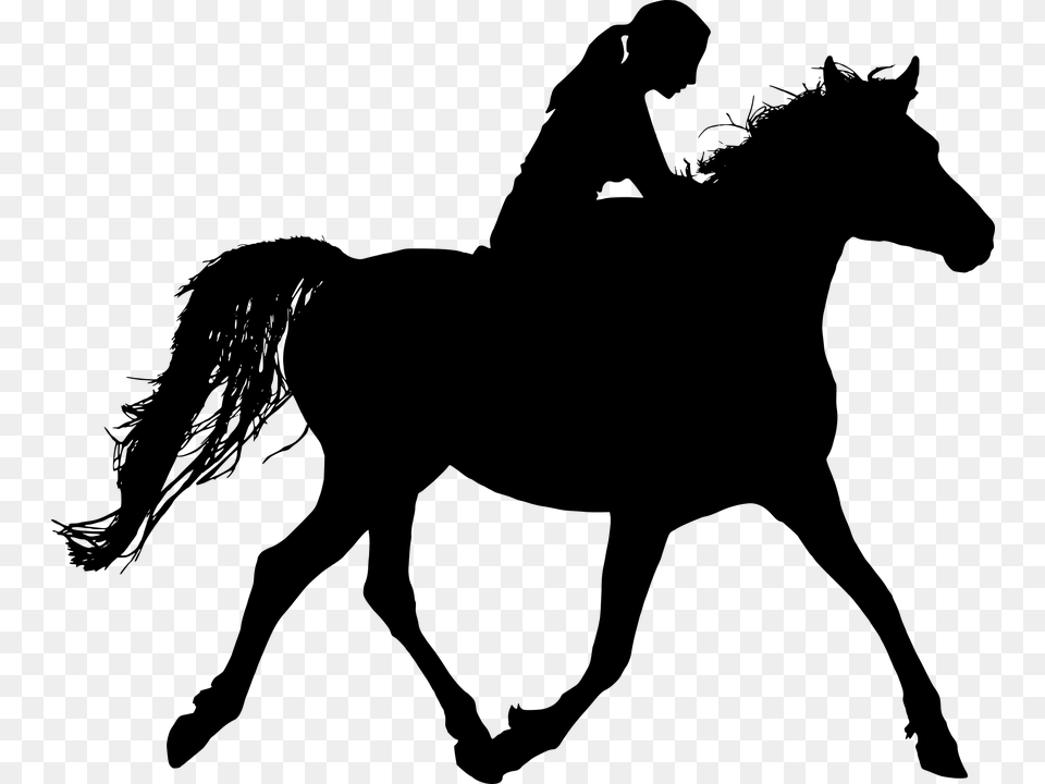 Horse Rider Silhouette, Gray Free Transparent Png