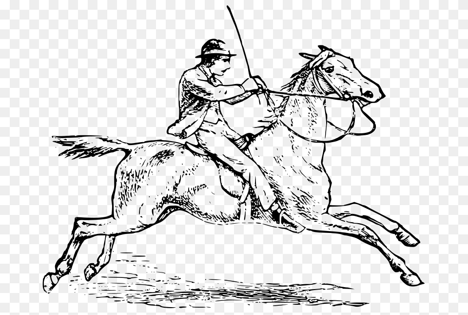 Horse Riding, Gray Free Transparent Png