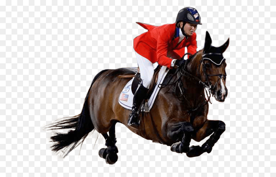 Horse Riding, Person, Animal, Equestrian, Mammal Free Transparent Png