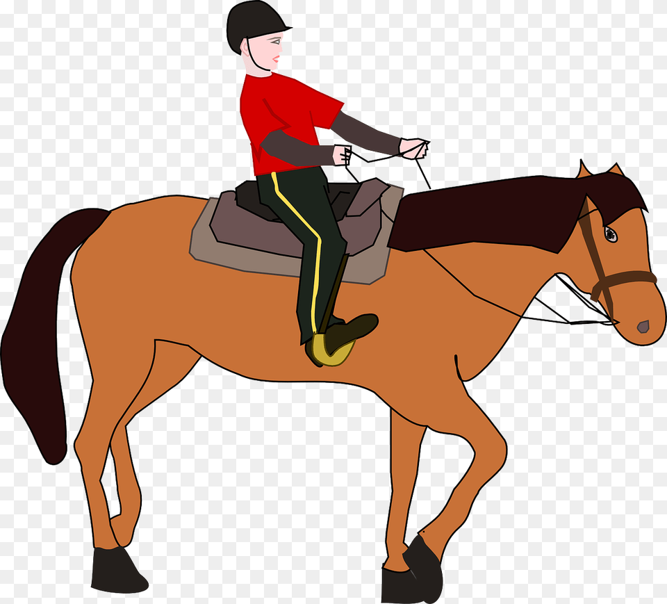 Horse Riding Clipart, Boy, Child, Male, Person Free Png
