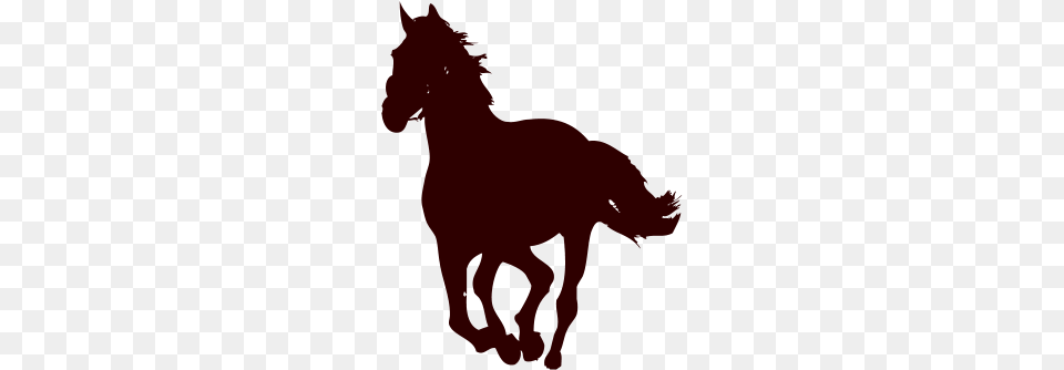 Horse Riding Clipart Horse, Animal, Baby, Mammal, Person Free Transparent Png