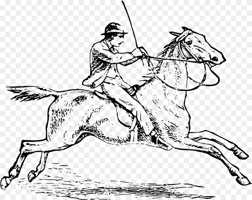 Horse Riding Horse Ride Clip Art Black And White, Gray Free Png Download