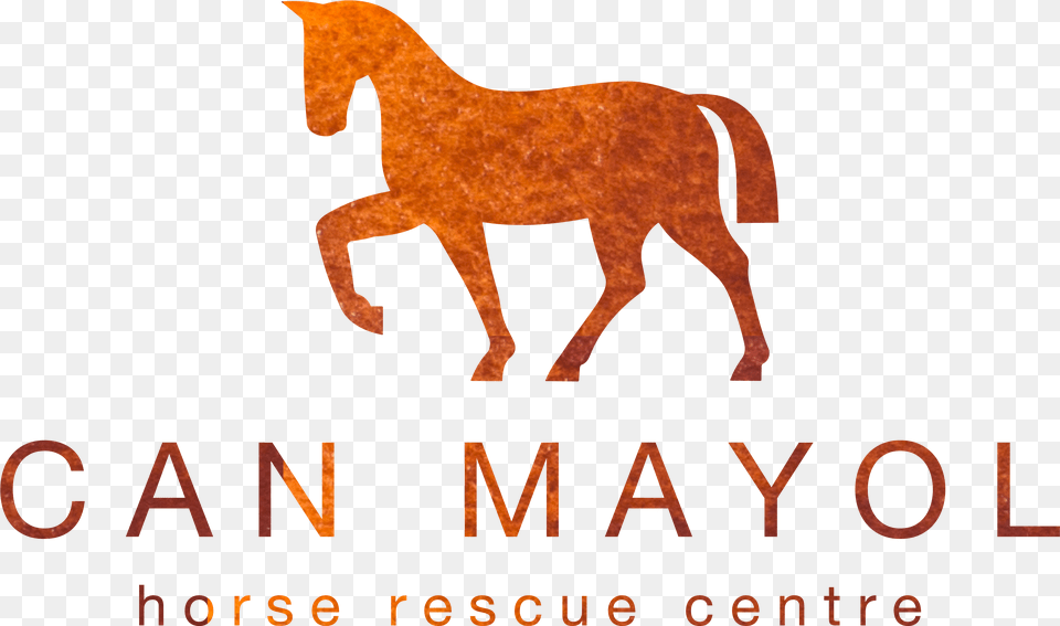 Horse Riding Icon, Animal, Colt Horse, Mammal Png Image