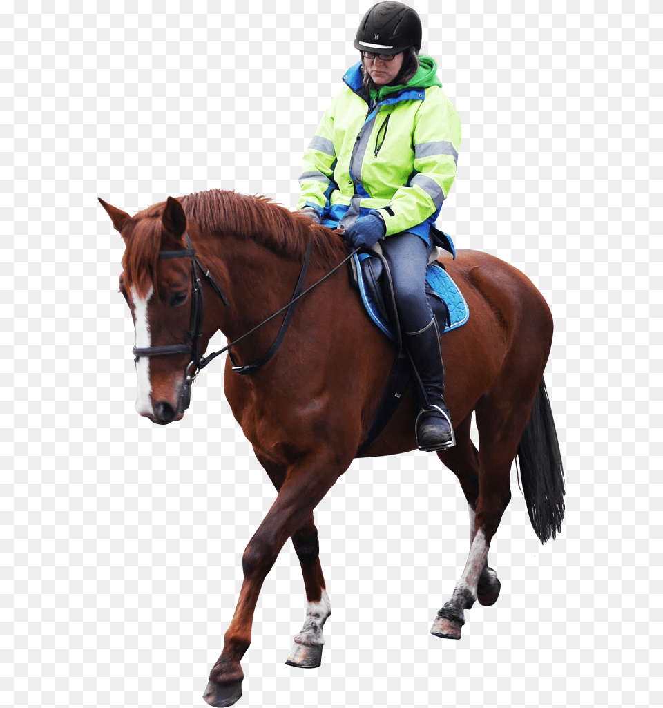 Horse Riding Person Riding Horse, Animal, Clothing, Equestrian, Mammal Png Image