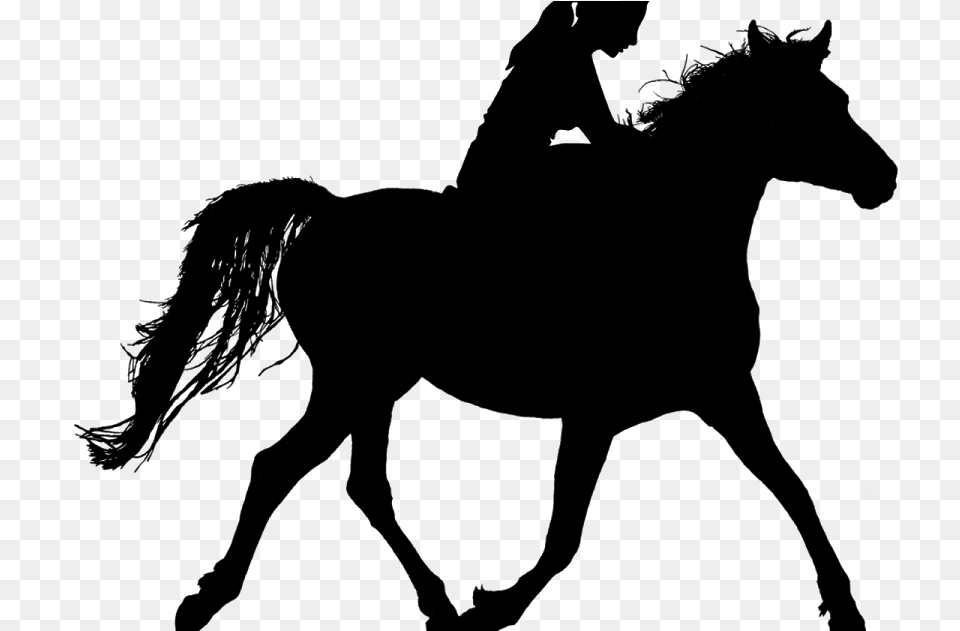 Horse Riding Silhouette Ride Stallion Woman Rider Girl Riding Horse Silhouette, Nature, Night, Outdoors, Lighting Png Image