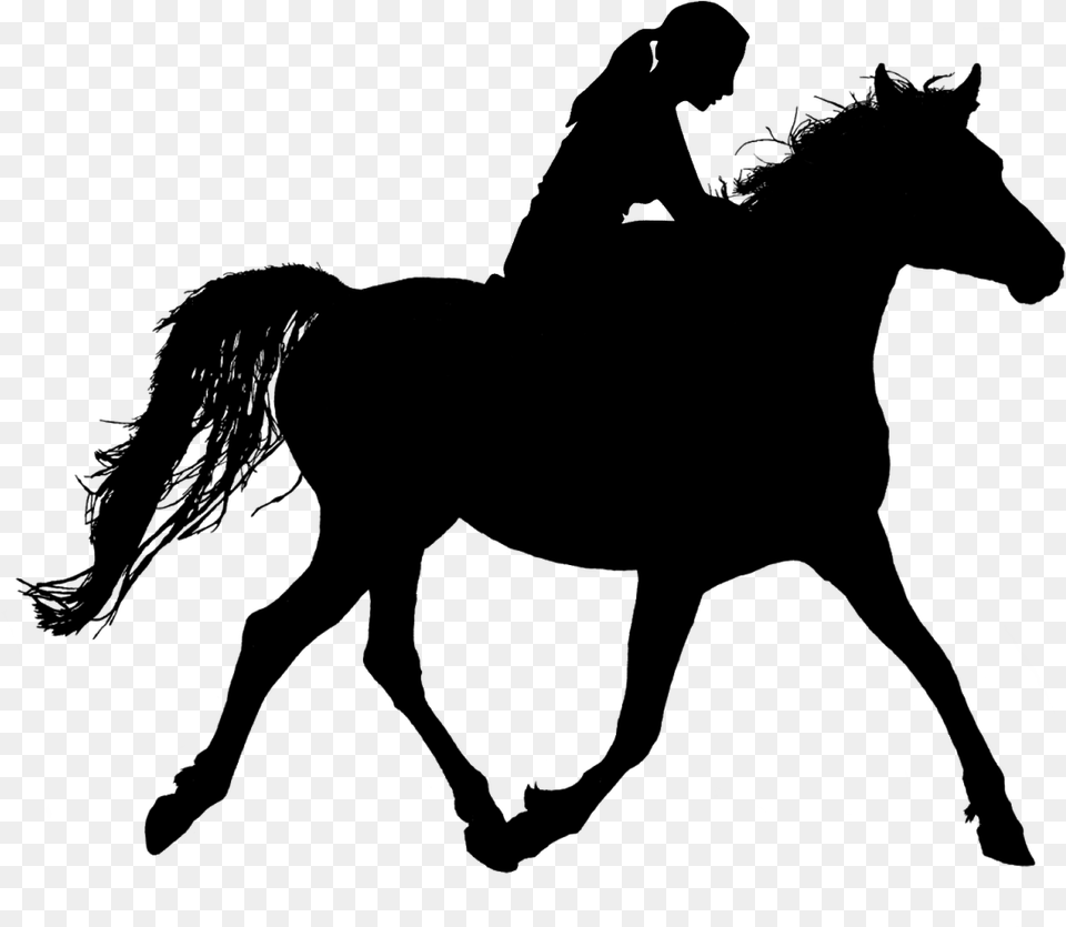 Horse Riding Silhouette Ride Stallion Woman Rider Girl Riding Horse Silhouette, Nature, Night, Outdoors, Lighting Free Transparent Png
