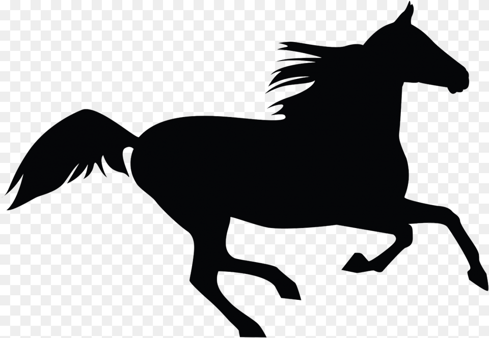 Horse Royalty Clip Art Clip Art Horse, Silhouette, Animal, Mammal, Colt Horse Png Image