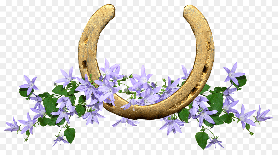 Horse Shoe Plant, Flower, Horseshoe Free Png