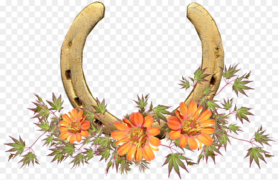 Horse Shoe Flowers Lucky Horse Shoe Flowers, Plant, Horseshoe, Flower Free Png Download