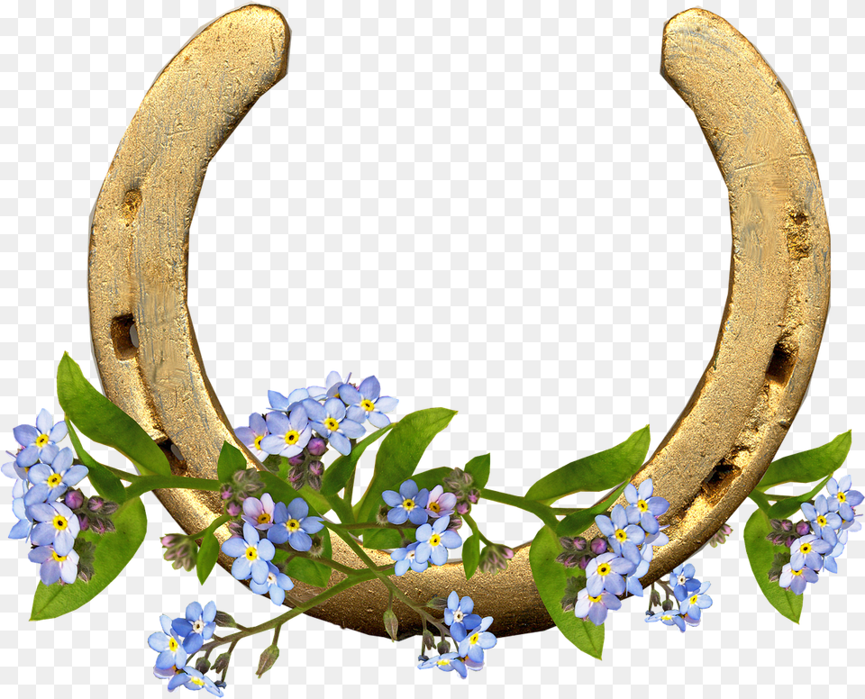 Horse Shoe Forget Me Not Flowers Horseshoe With Flowers, Plant, Flower Png Image