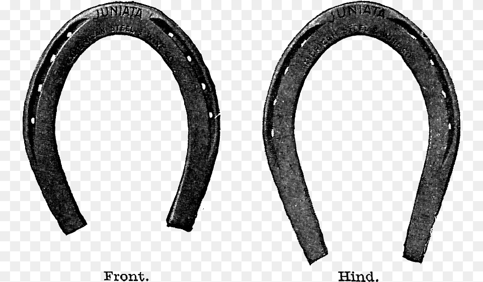 Horse Shoe Horseshoe Clip Art Images Clipartfest Circle Png Image