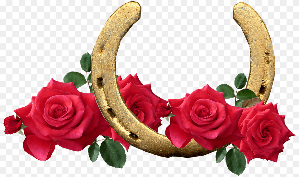 Horse Shoe Red Roses Lucky Romantic Ancient Wisdom Rose Dilute Essential Oil, Flower, Plant, Horseshoe Png