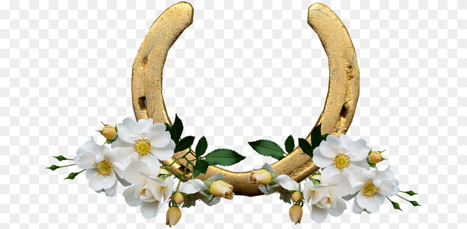 Horse Shoe White Roses Lucky Wedding, Flower, Plant, Horseshoe Png Image