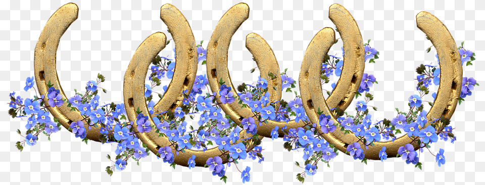 Horse Shoes Lucky Blue Flowers Decoration Symbol Horseshoe, Flower, Plant, Accessories, Pattern Free Png