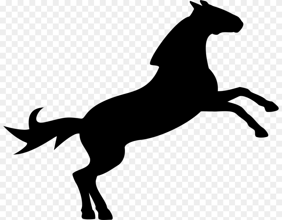 Horse Show Jumping Equestrian Silhouette, Gray Free Png Download