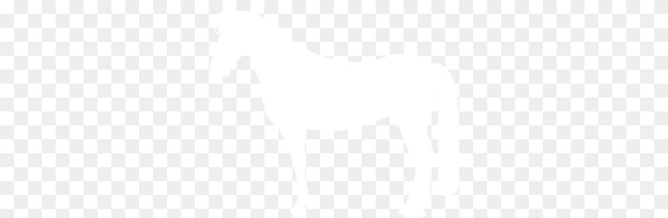 Horse Shows Jackson Hole Therapeutic Riding Animal Figure, Mammal, Colt Horse, Person Free Png