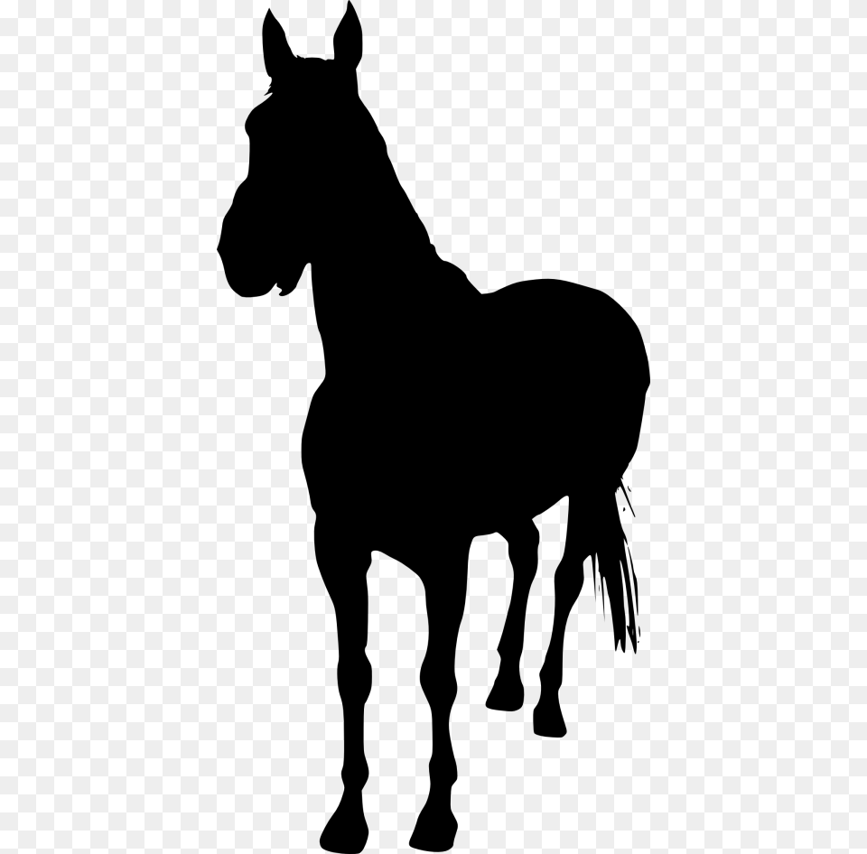 Horse Silhouette, Animal, Mammal, Colt Horse Free Transparent Png