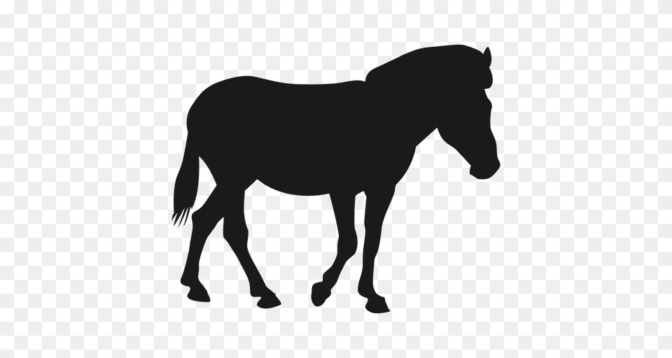 Horse Silhouette, Animal, Mammal, Cattle, Cow Png