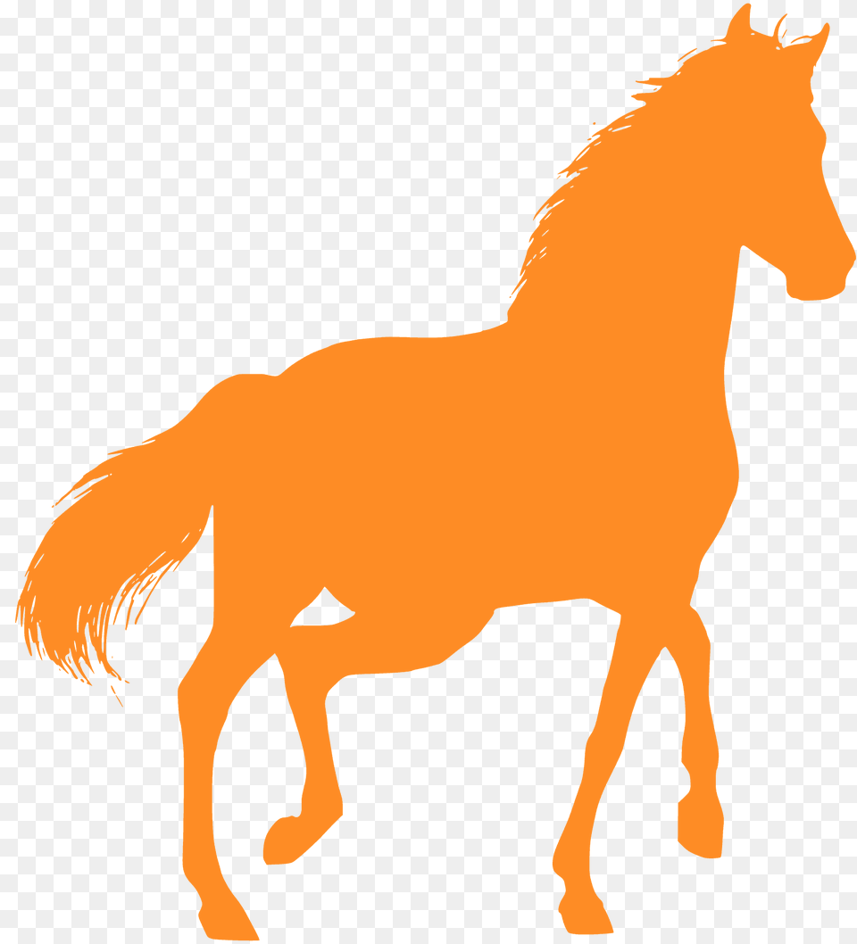 Horse Silhouette, Animal, Colt Horse, Mammal Free Transparent Png