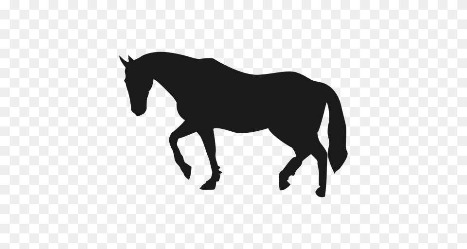 Horse Silhouette, Animal, Mammal Png Image