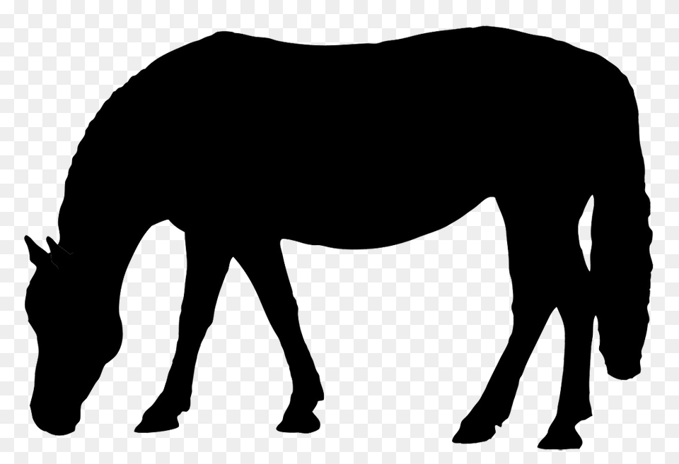 Horse Silhouette, Animal, Mammal, Adult, Male Free Png Download