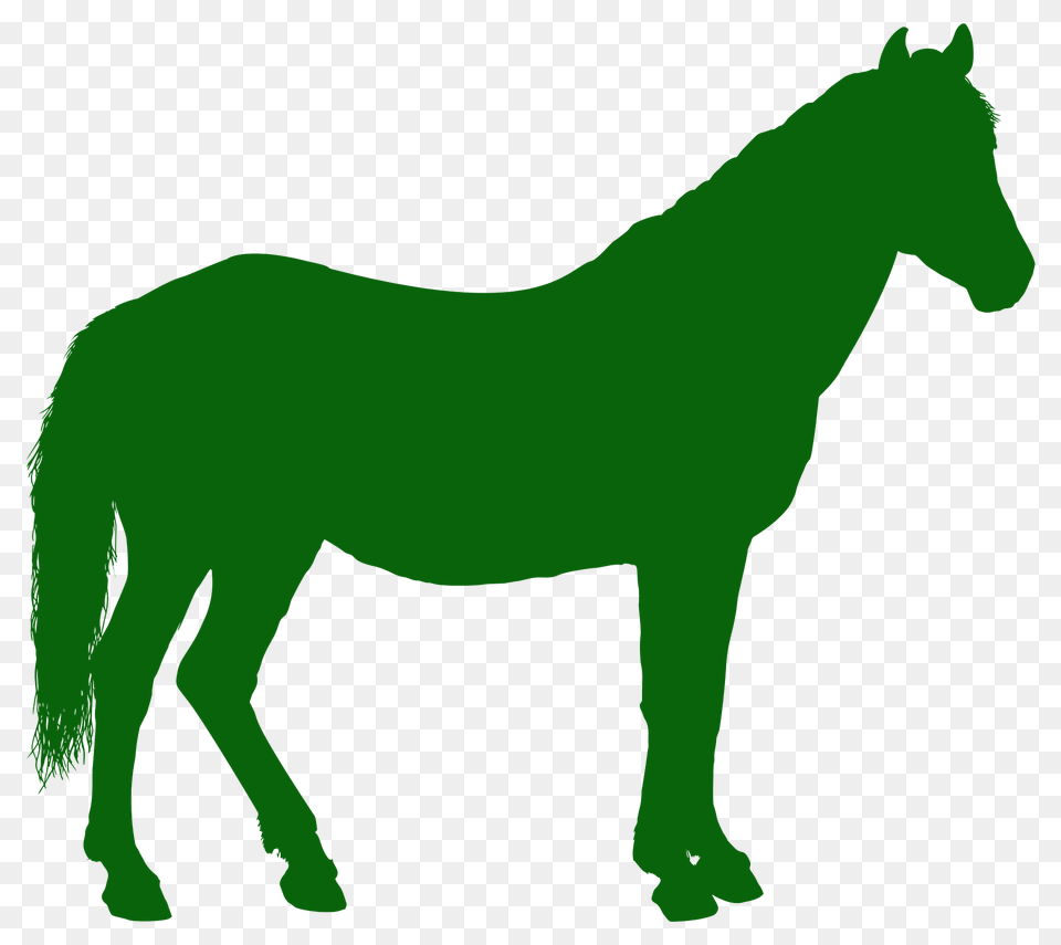 Horse Silhouette, Animal, Mammal, Colt Horse Free Transparent Png