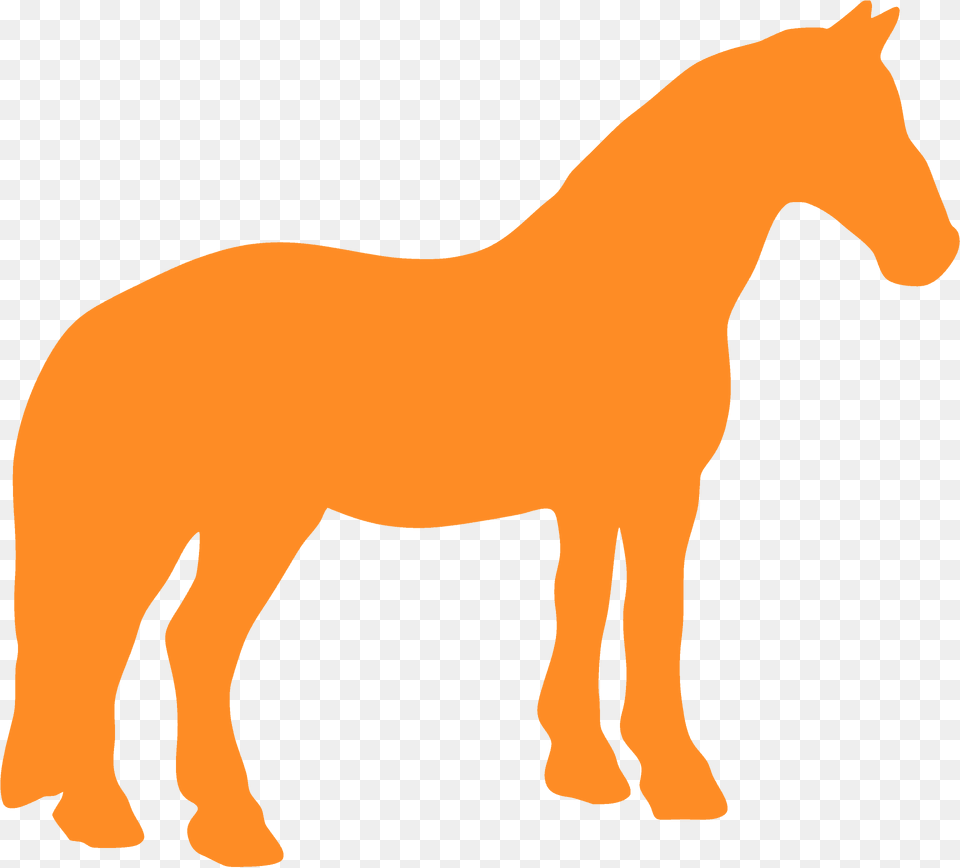 Horse Silhouette, Animal, Colt Horse, Mammal Free Transparent Png